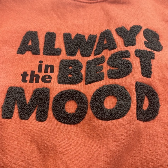 Zara Boys Sweatshirt, Sz 4-5 Years - Picture 3 of 5